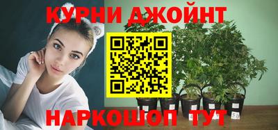 ECSTASY Новозыбков